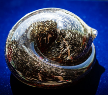 Load image into Gallery viewer, Memorial Curled Glass Cat
