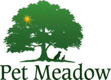 Load image into Gallery viewer, Same Day Tribute Package - Marietta Location Only