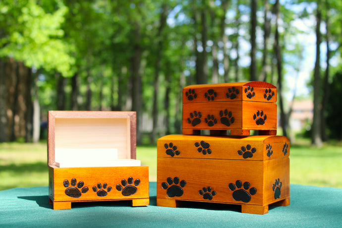 Paw Print Chest Collection
