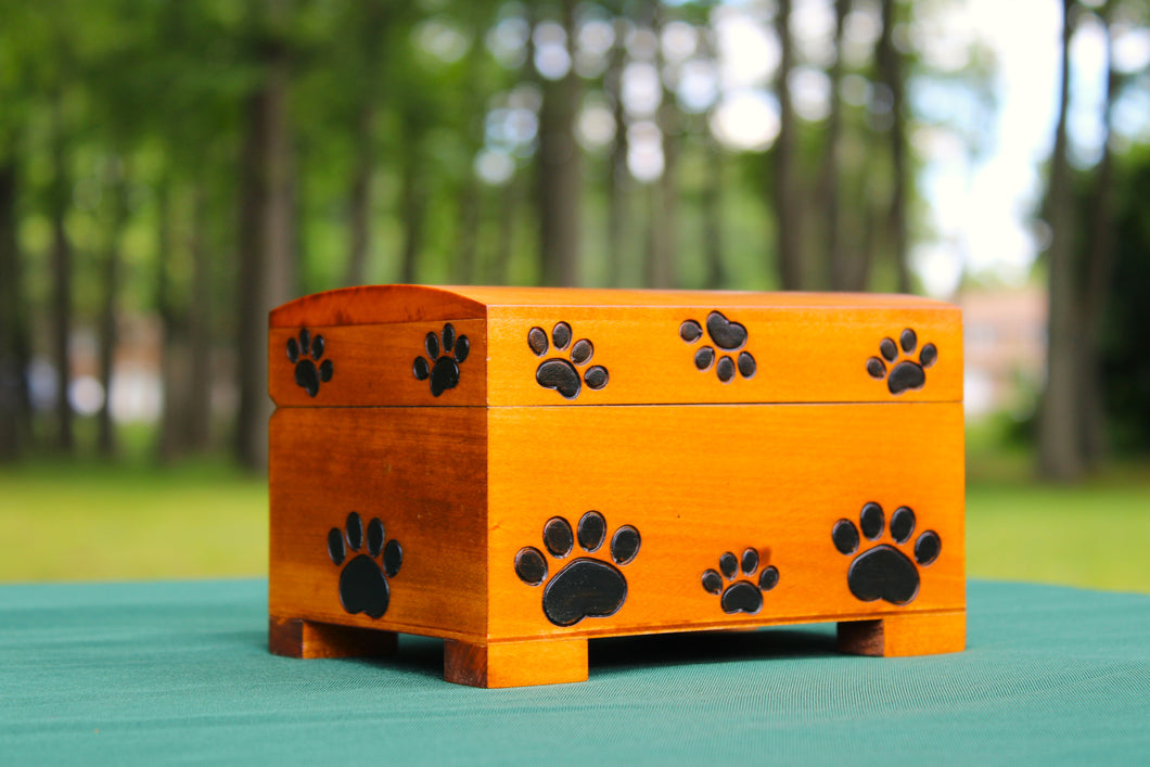 Paw Print Chest Large