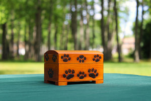 Paw Print Chest Small