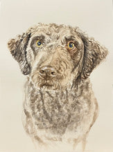 Load image into Gallery viewer, portrait of a dog