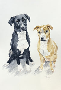 Custom Hand Painted Pet Portrait - Water Color