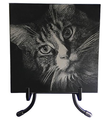 Black Granite Portrait