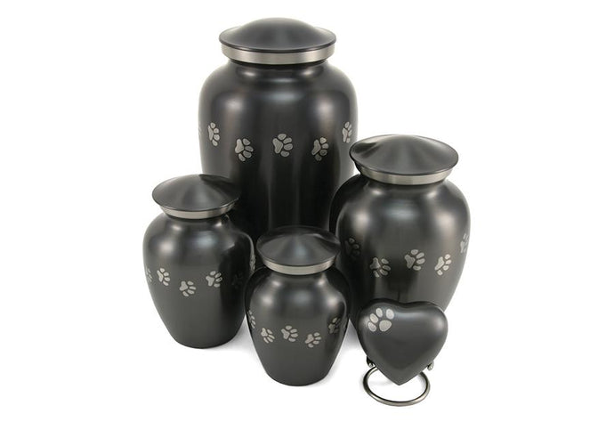 Classic Paws Collection