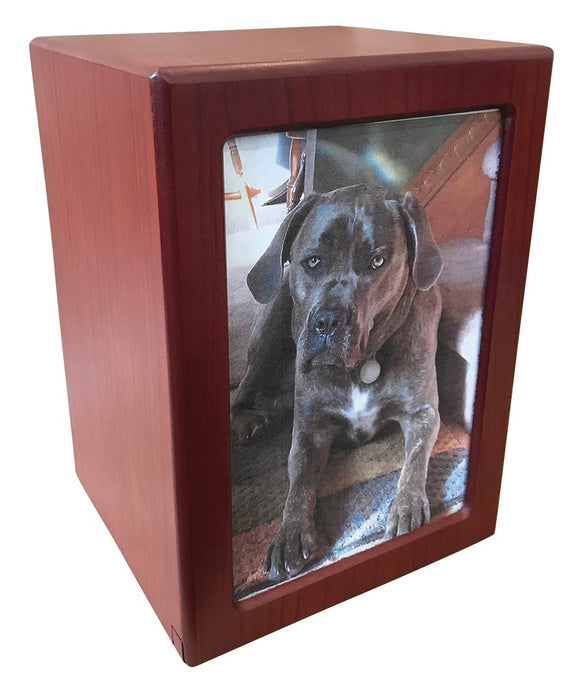 Picture Frame Urn